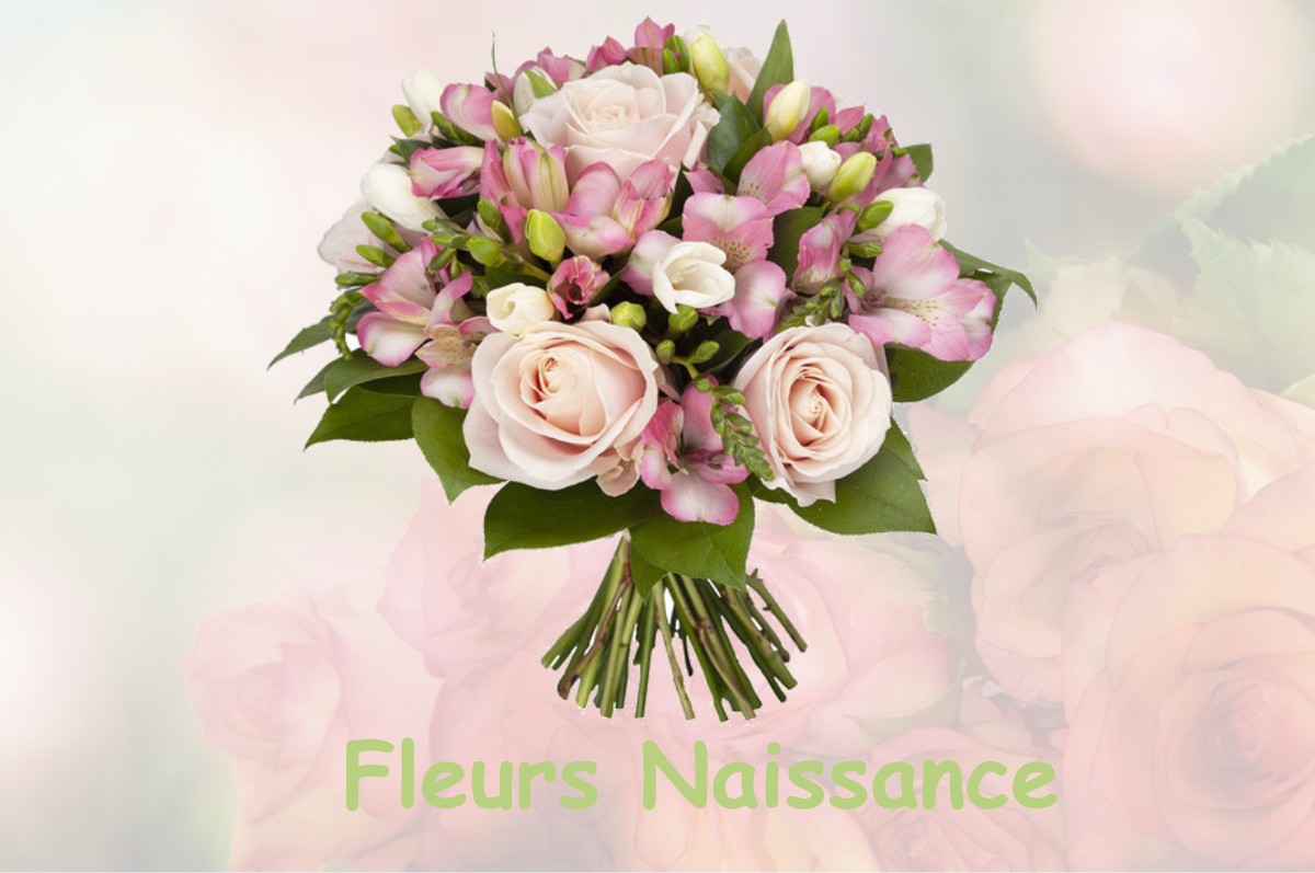 fleurs naissance BOIGNY-SUR-BIONNE