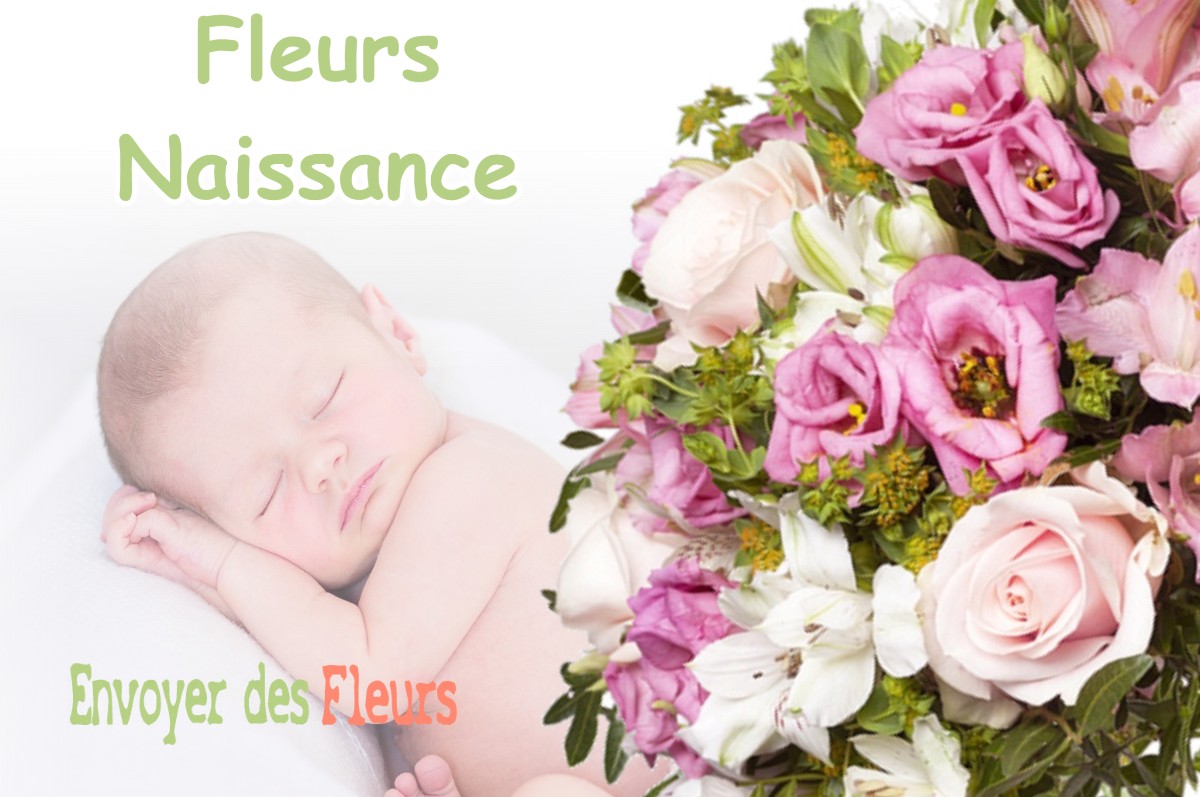 lIVRAISON FLEURS NAISSANCE à BOIGNY-SUR-BIONNE